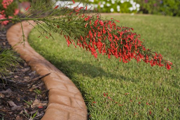 Brick Edging in Barrington