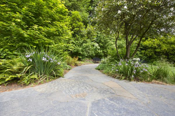 Stone Hardscape Service in Barrington