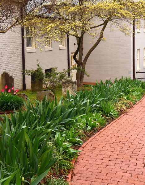 Brick Flatwork Repair in Barrington